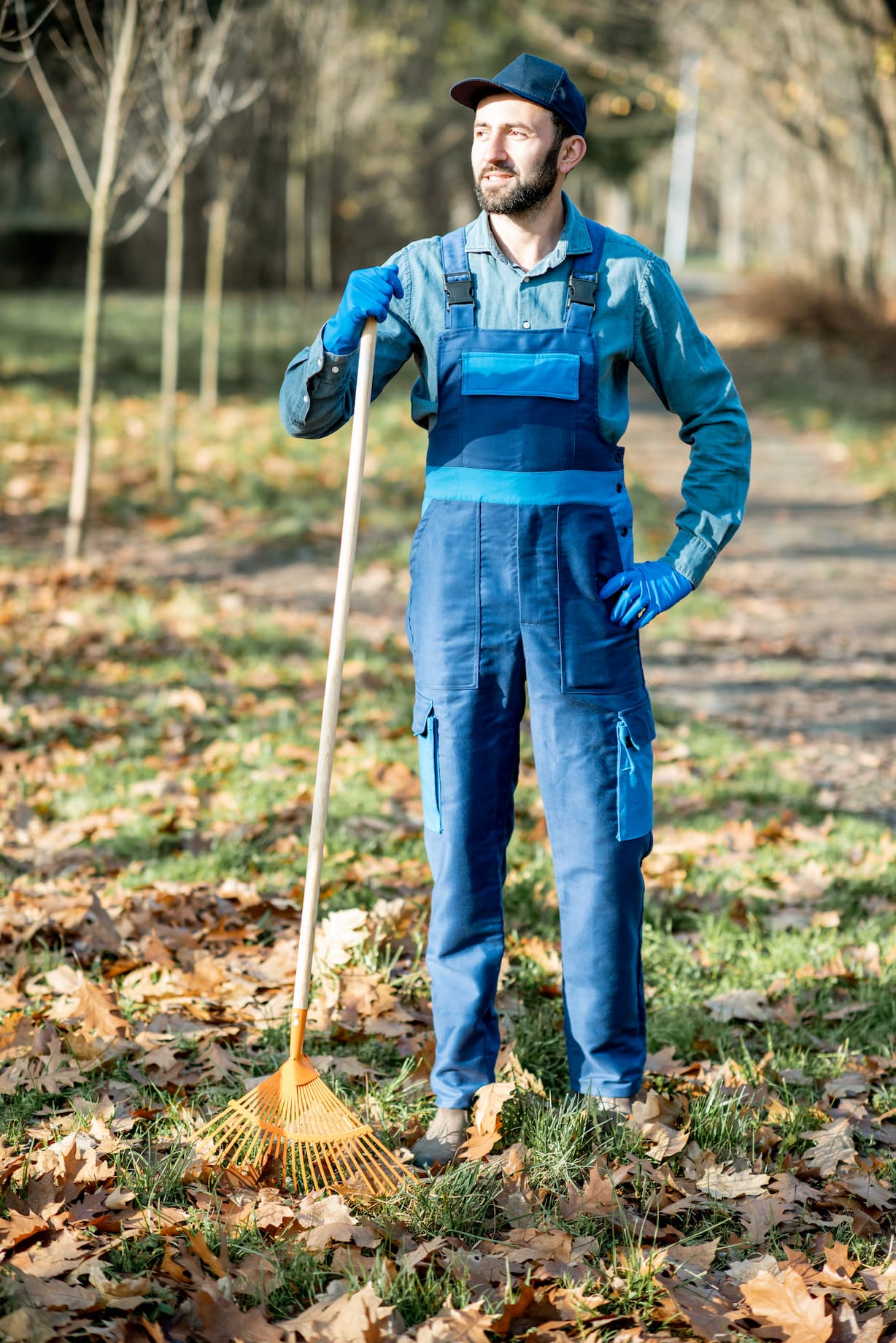 Garten-landschaftsbau-bsa-gebaeudeservice-